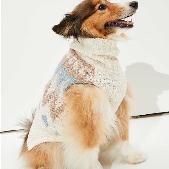 dog sweaters american eagle